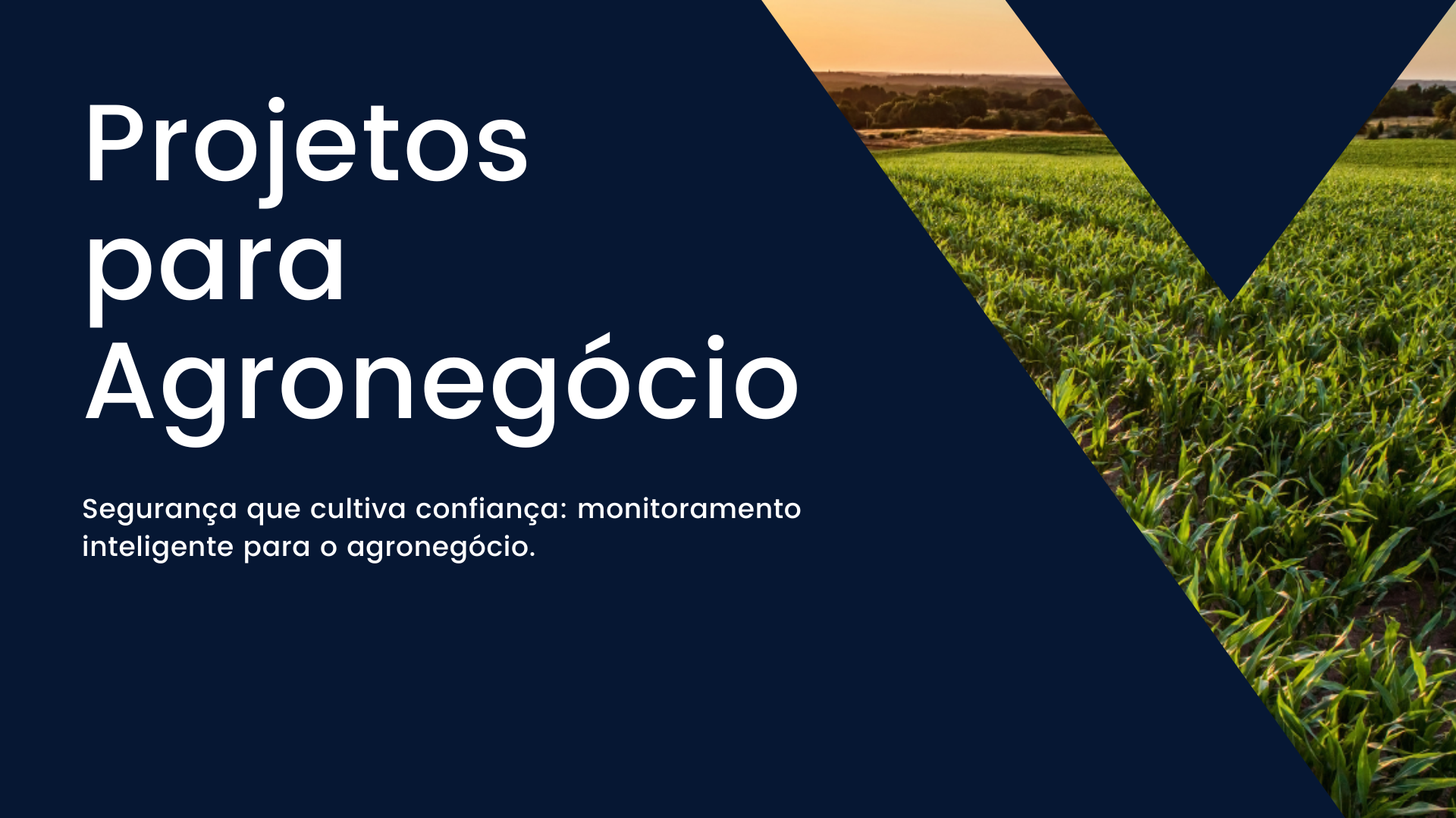 Projetos para Agronegócio